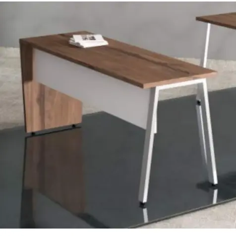 Comfortable & Functional Modern Desk / Casual Workstation with Cabinet / Simplistic Design Table