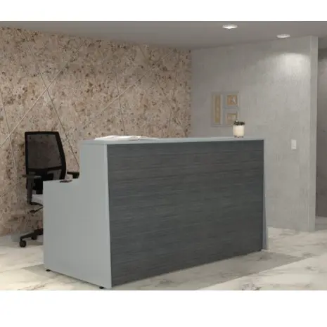 Commercial Reception Unit / Sleek Visitor Check-In / Modernistic Lobby Desk