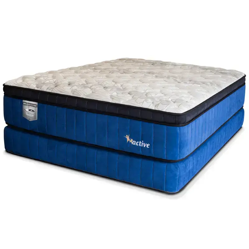 Turn Free Mattress / Mattress for Comfortably Sleep And Pressure Relief / Active Model
