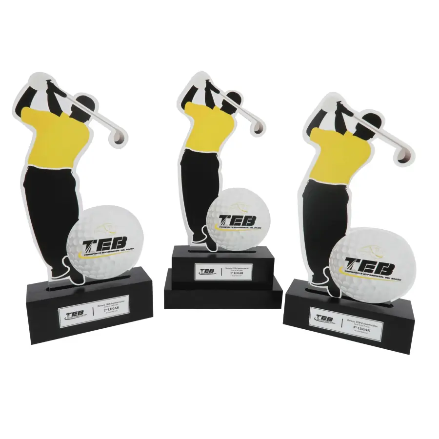 Award Trophies /  Customizable Trophies / Tailored Trophies for Recognition