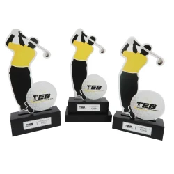 Award Trophies /  Customizable Trophies / Tailored Trophies for Recognition