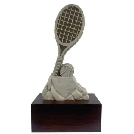 Customizable Trophies / Award Trophies / Tailored Trophies for Recognition