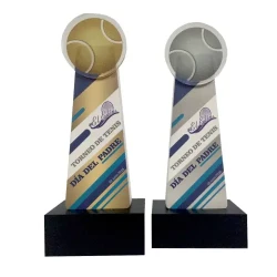 Tailored Trophies for Recognition / Customizable Trophies / Award Trophies