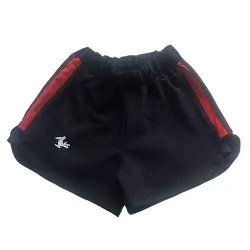 School Shorts for Girls / Girls' School Uniform Shorts / Junior Schoolgirl Shorts