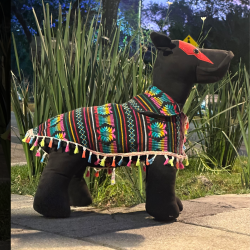 Mexican Dog Poncho / Dog clothes / Baja Dog Poncho