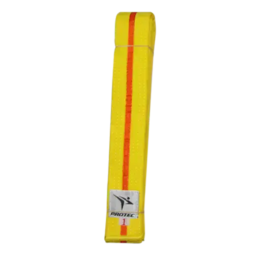 Yellow Belt / Warrior's Sash / Custom Martial Belt / Combat Mastery Sash